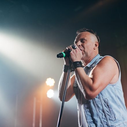 Harri Stojka & Band - Anarchy