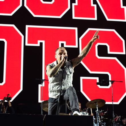 Die Toten Hosen - Trink Aus! Wir Müssen Gehen - Tour 2026