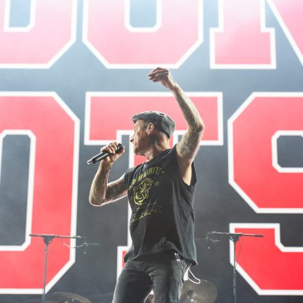 Die Toten Hosen - Trink Aus! Wir Müssen Gehen - Tour 2026