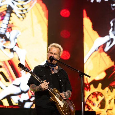 Die Toten Hosen - Trink Aus! Wir Müssen Gehen - Tour 2026