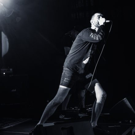 Antitude Fest 2026