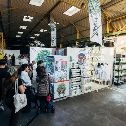 CULTIVA Hanfexpo 2026