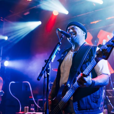 Kärbholz