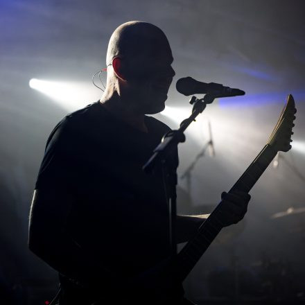 Der Weg einer Freiheit