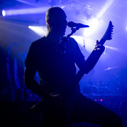 Der Weg einer Freiheit
