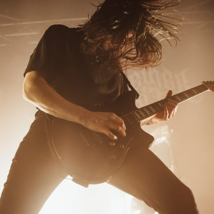 Der Weg einer Freiheit