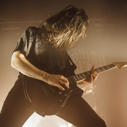 Der Weg einer Freiheit