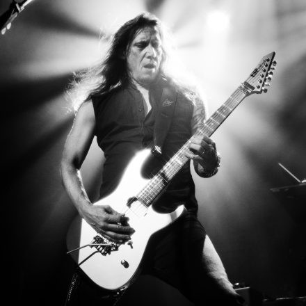 Tarja