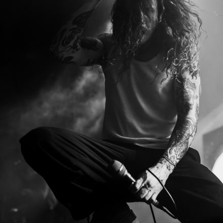 The Amity Affliction