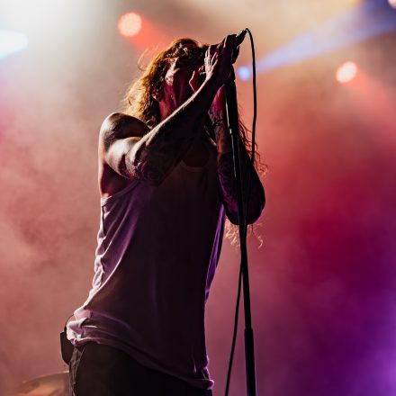 The Amity Affliction