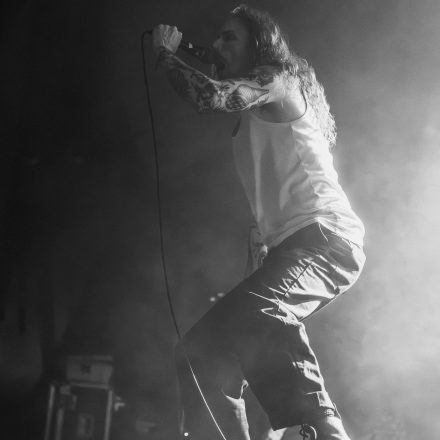 The Amity Affliction