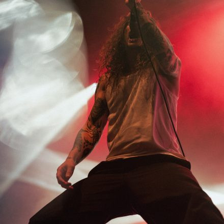 The Amity Affliction