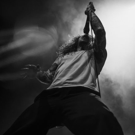 The Amity Affliction