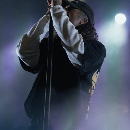 The Amity Affliction