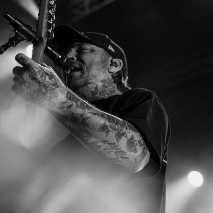 The Amity Affliction