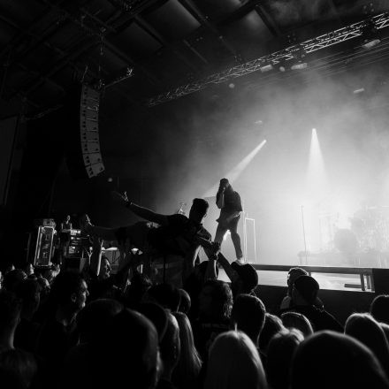 The Amity Affliction