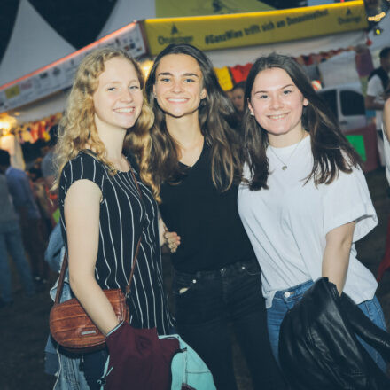 Donauinselfest 2019 - Tag 3 (Part II)