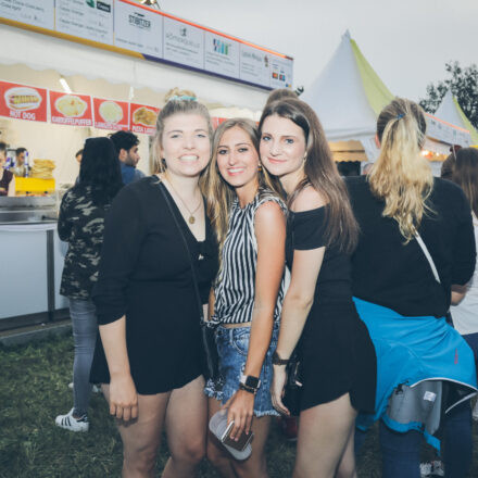 Donauinselfest 2019 - Tag 2 (Part II)