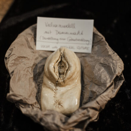 Look at this Vulva! Ein unverschämter Blick @ Die Schöne