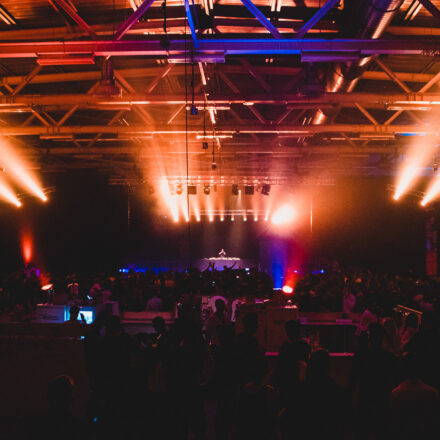 Reborn Festival