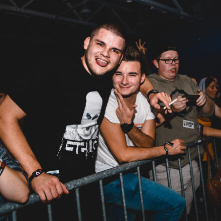 Reborn Festival