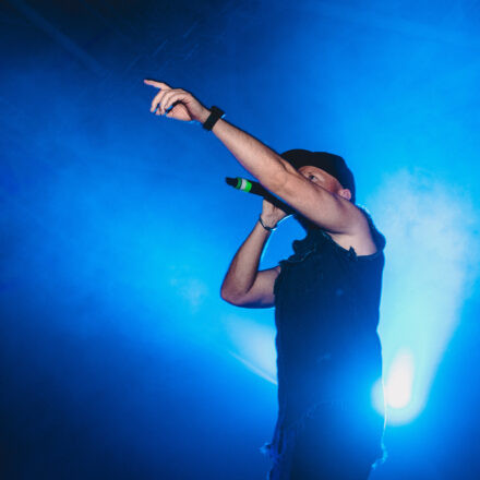 Reborn Festival