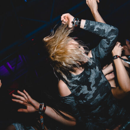 Reborn Festival