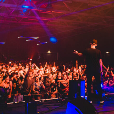 Reborn Festival