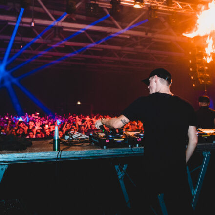 Reborn Festival