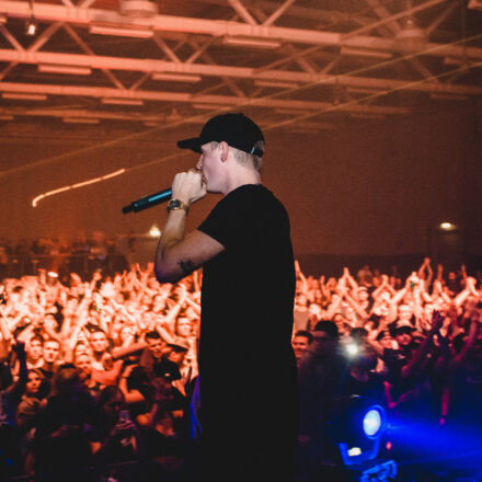 Reborn Festival