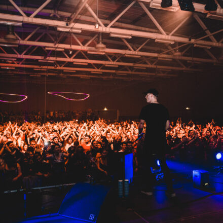 Reborn Festival