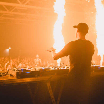 Reborn Festival