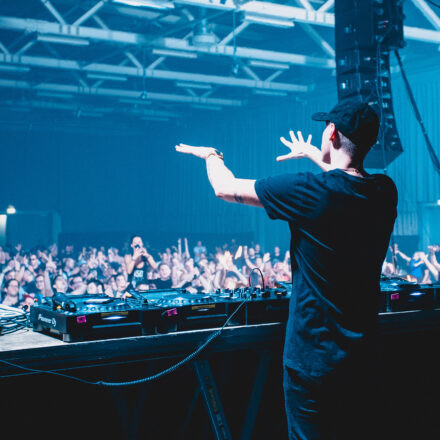 Reborn Festival
