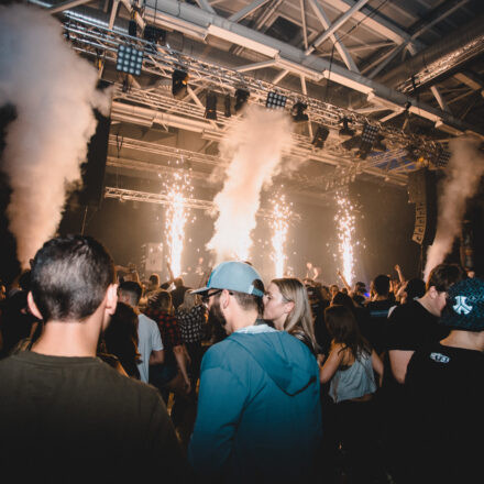 Reborn Festival