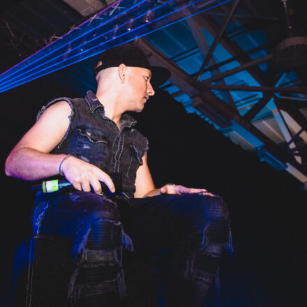 Reborn Festival