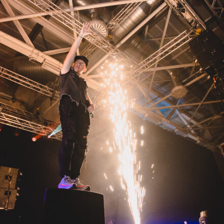 Reborn Festival