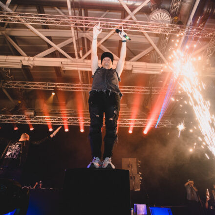 Reborn Festival