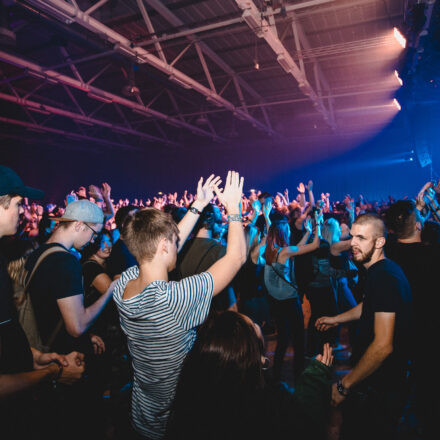 Reborn Festival