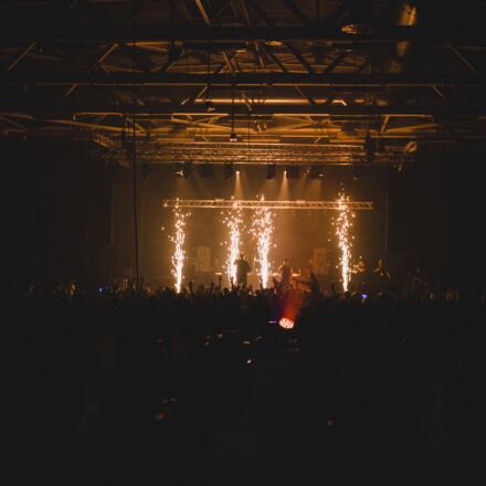 Reborn Festival