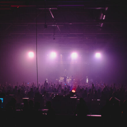 Reborn Festival