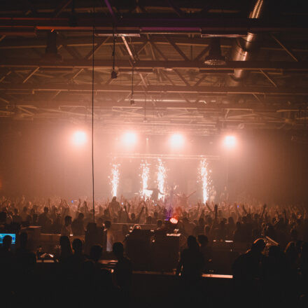 Reborn Festival