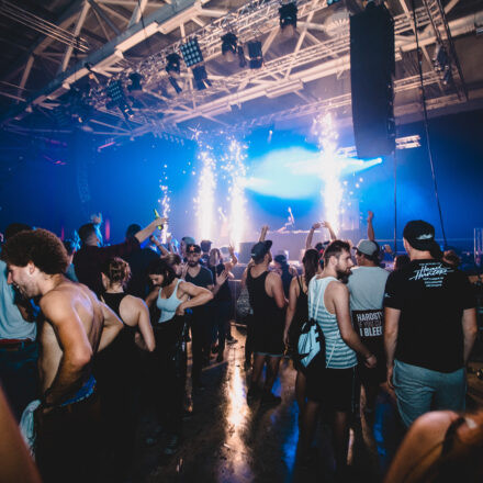 Reborn Festival