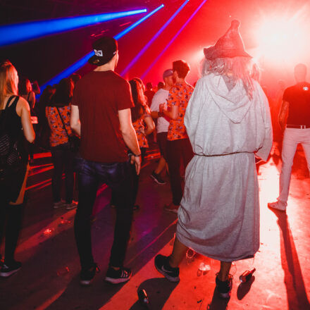 Reborn Festival