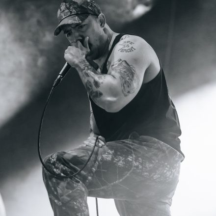 Lionheart, Suicide Silence