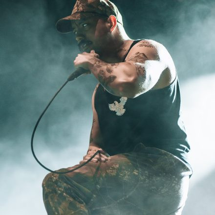Lionheart, Suicide Silence