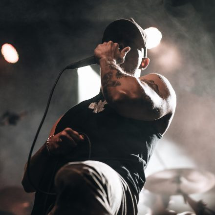 Lionheart, Suicide Silence