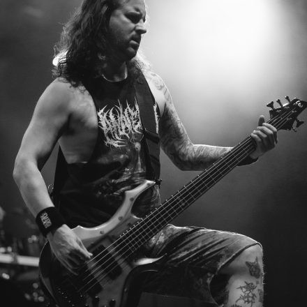 Lionheart, Suicide Silence