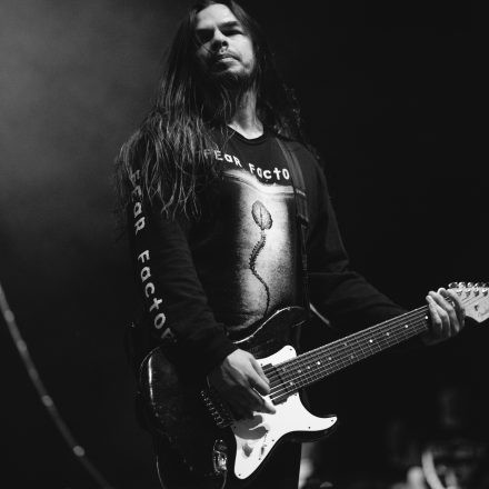 Lionheart, Suicide Silence