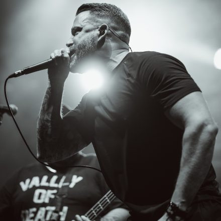 Lionheart, Suicide Silence