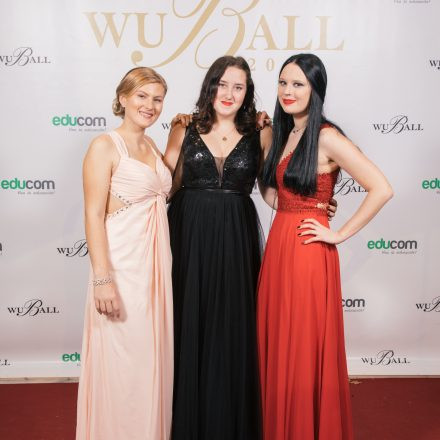 WU Ball 2020